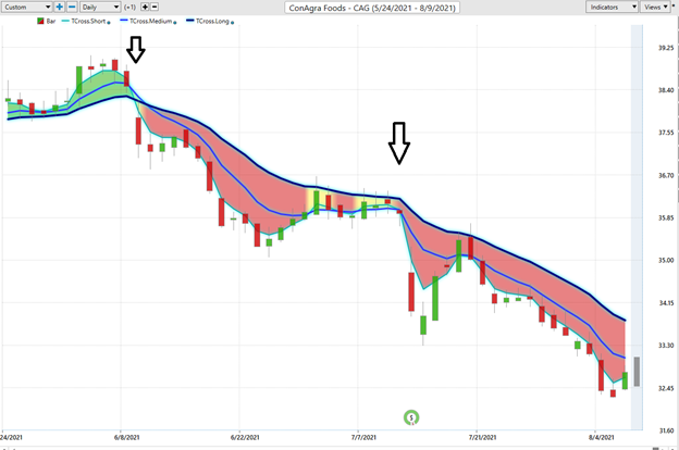 Squawk Bucks – The Vantagepoint A.I. Perspective