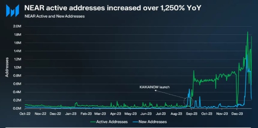 Q4 2023 Shows 1,250% Rise In Daily Active Addresses