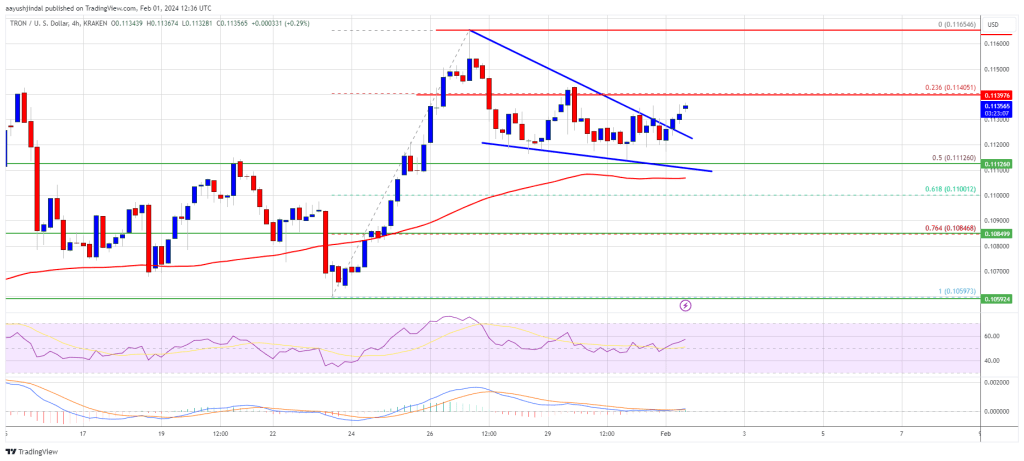 TRX Looks Set For A Bullish Streak To $0.12