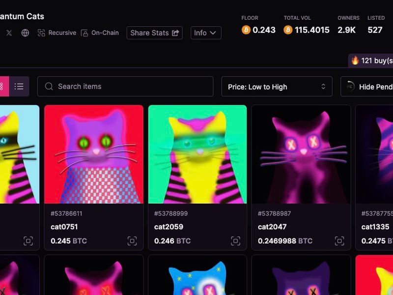 Bitcoin NFTs ‘Quantum Cats’ Fetching 0.24 BTC ($10K+) on Magic Eden Marketplace