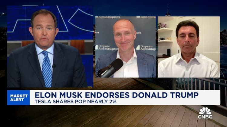 Trump, Musk alliance could threaten Harris in 2024 election