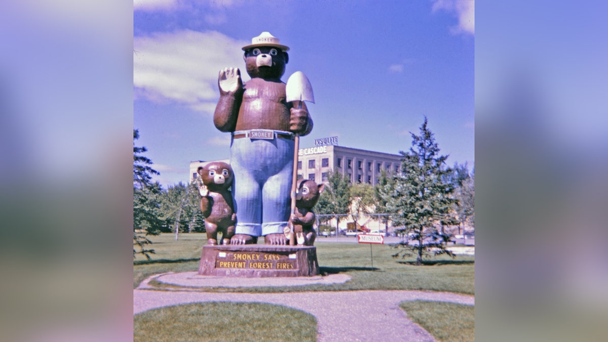 Smokey Bear turns 80: Here are 8 fun facts for each decade