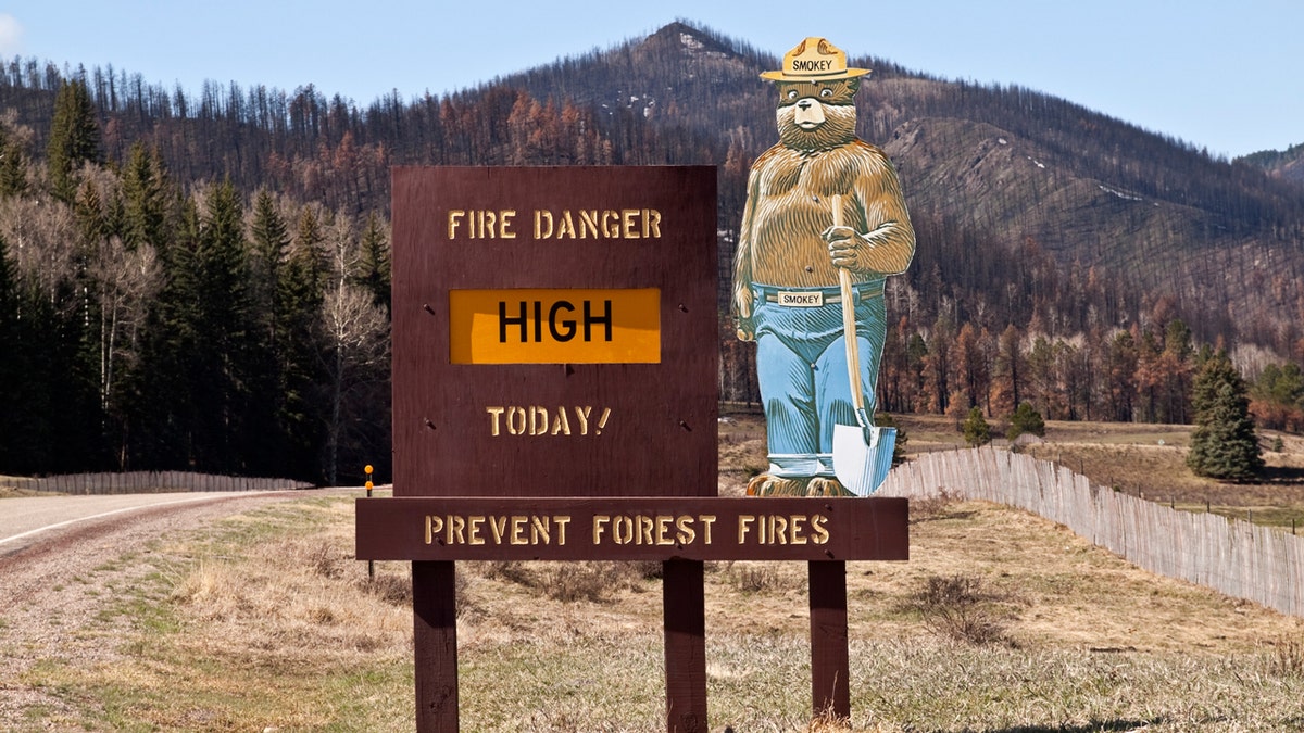 Smokey Bear turns 80: Here are 8 fun facts for each decade