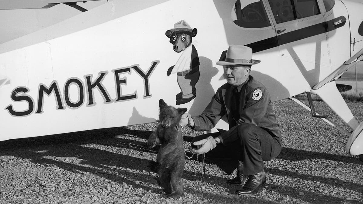 Smokey Bear turns 80: Here are 8 fun facts for each decade