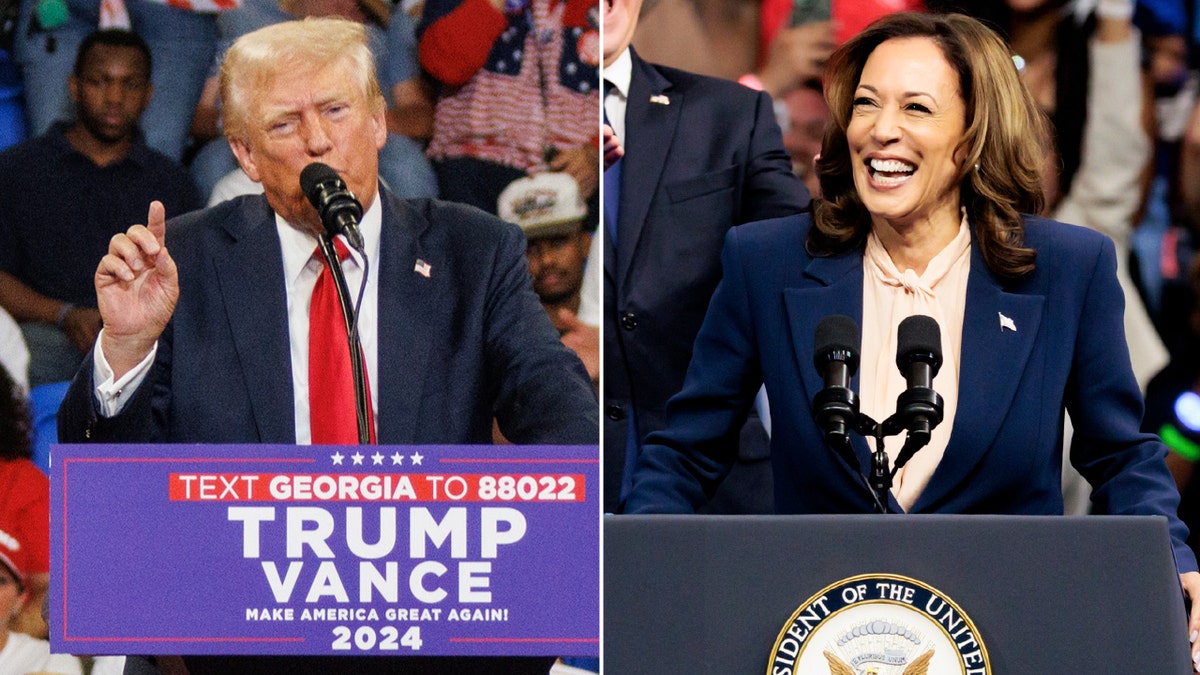 2024 showdown: New polls this weekend in three key battlegrounds in Harris-Trump White House race