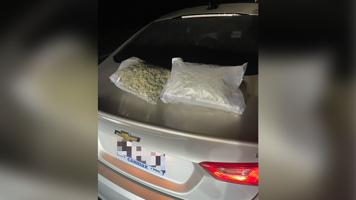 Hard drugs found inside Buc-ee’s plushies during traffic stop in Texas