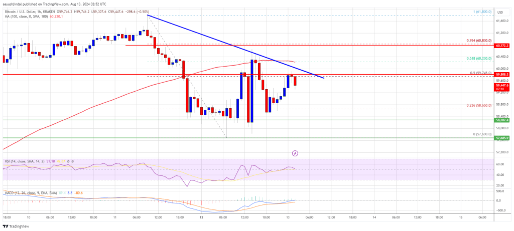 Is a Bullish Move Ahead?