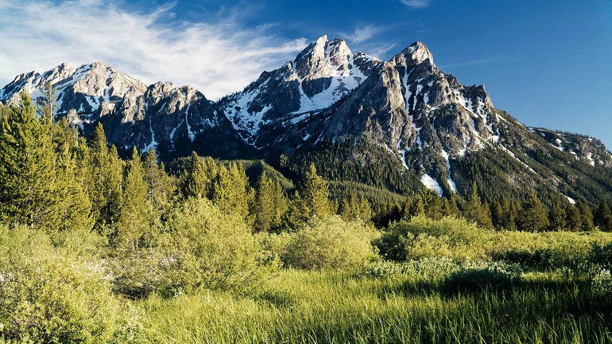 ‘Will to survive’ helped missing 89-year-old hiker through 10-day ordeal in Idaho wilderness